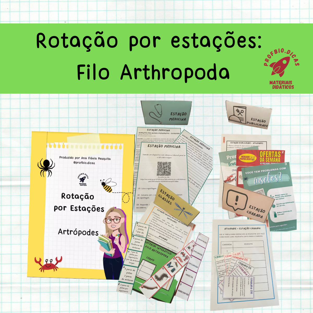 Filo Arthropoda – Rotação por Estações