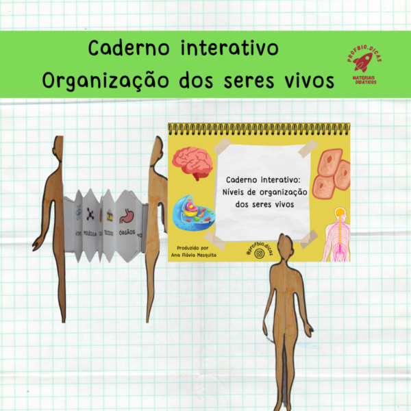 Níveis de Organização dos seres vivos – Caderno Interativo