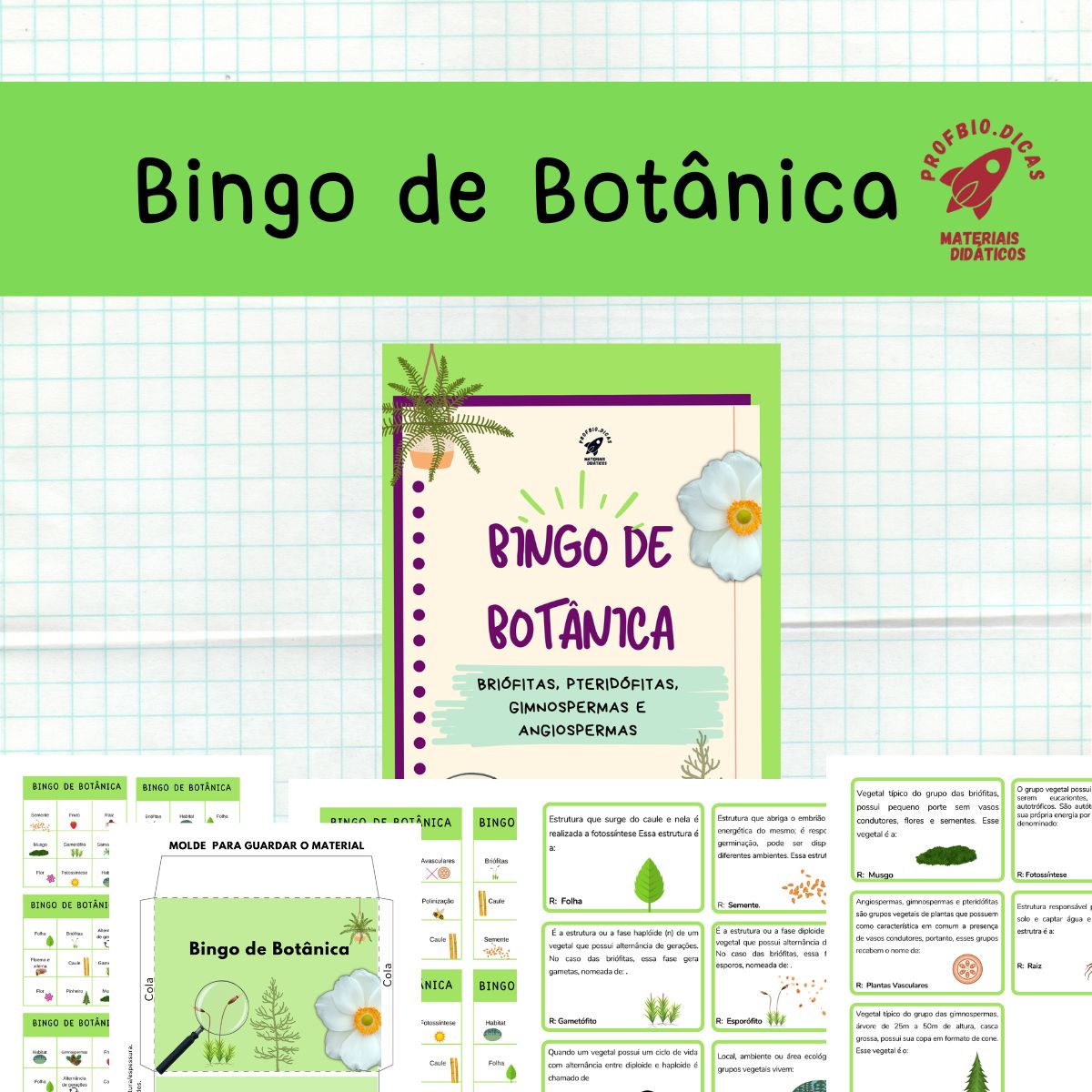 WhatsApp Image 2025-04-17 at 12.07.53