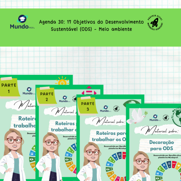 Agenda 2030: 17 Objetivos do Desenvolvimento Sustentável (ODS) - Meio ambiente
