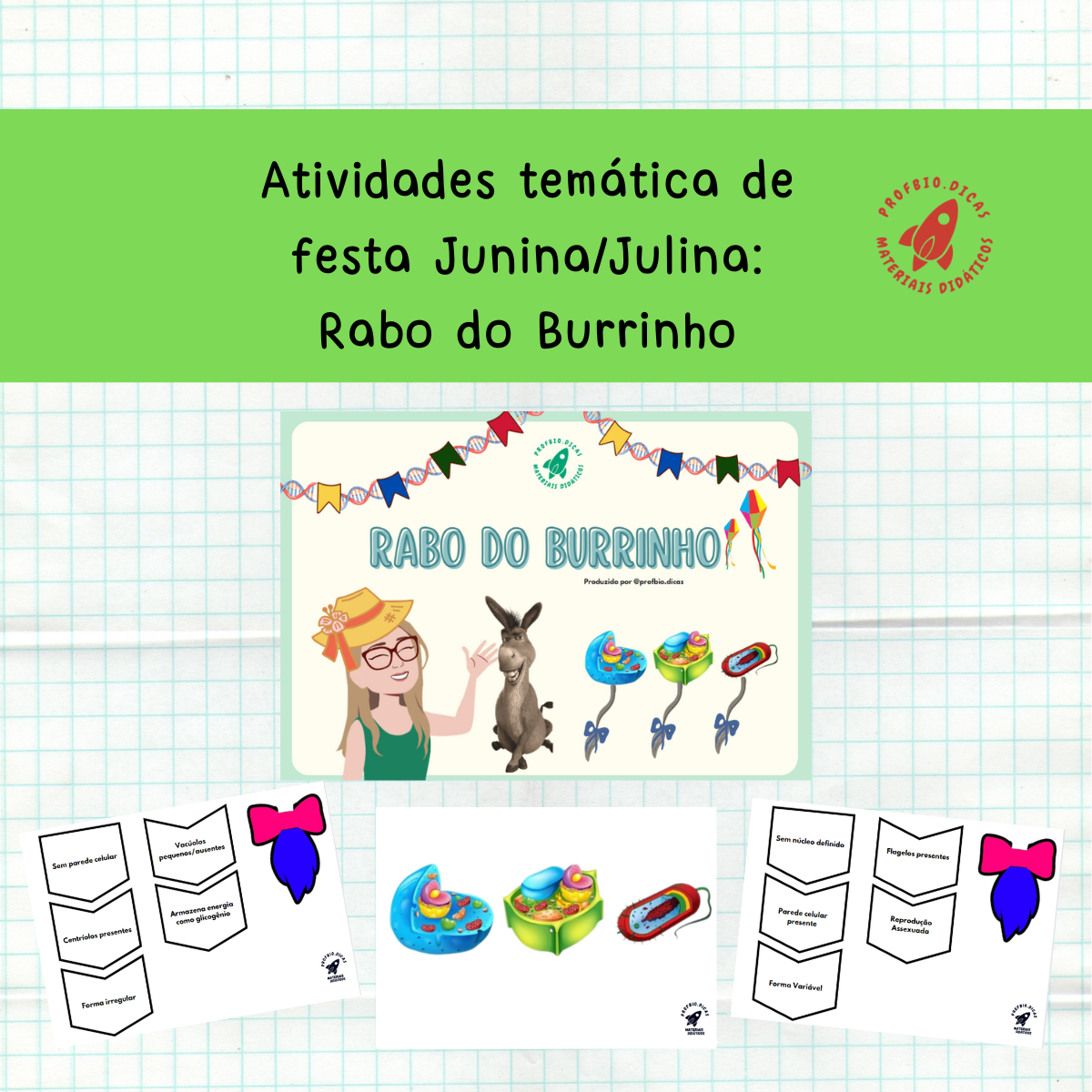 capas loja 1200px (17)