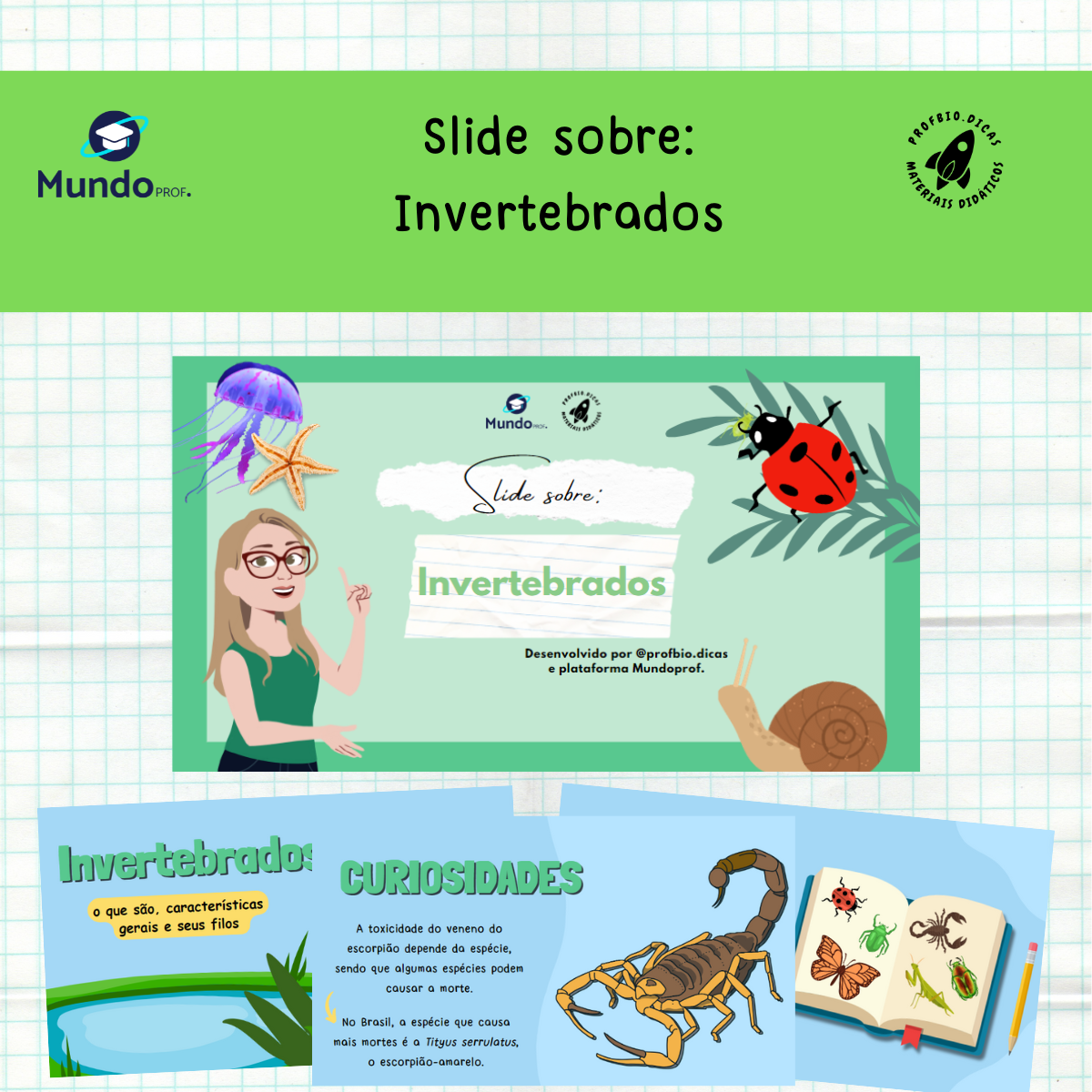 capas loja 1200px (23)