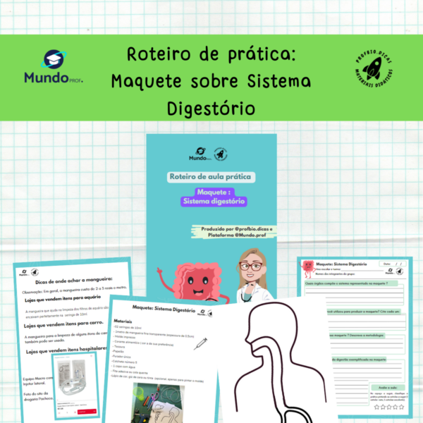 Roteiro com vídeo aula da maquete de Sistema Digestório