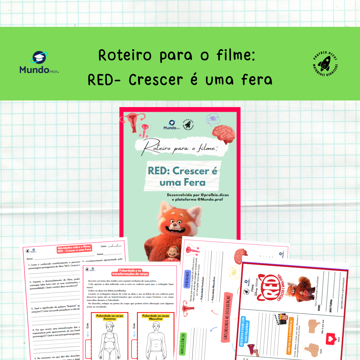 capas loja 1200px (1)