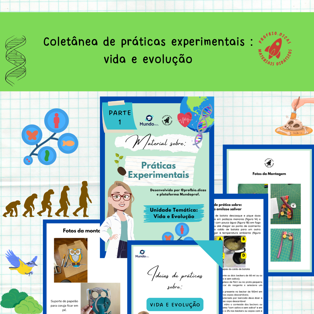 capas plataforma (1200 x 1200 px)