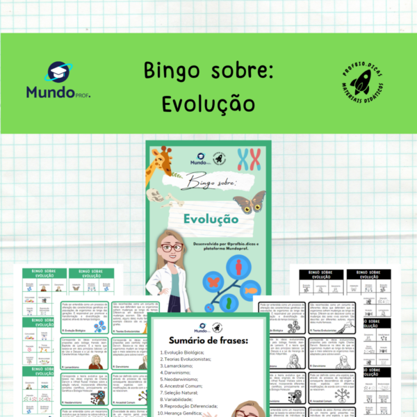 Bingo de evolução