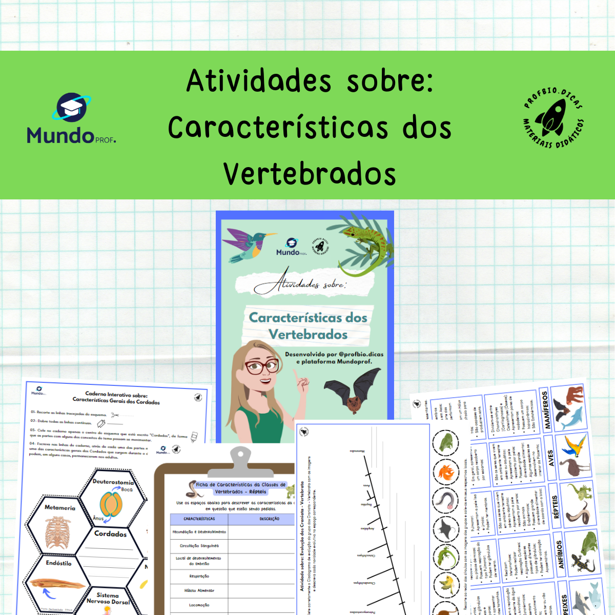 atividades sobre vertebrados capa - 120