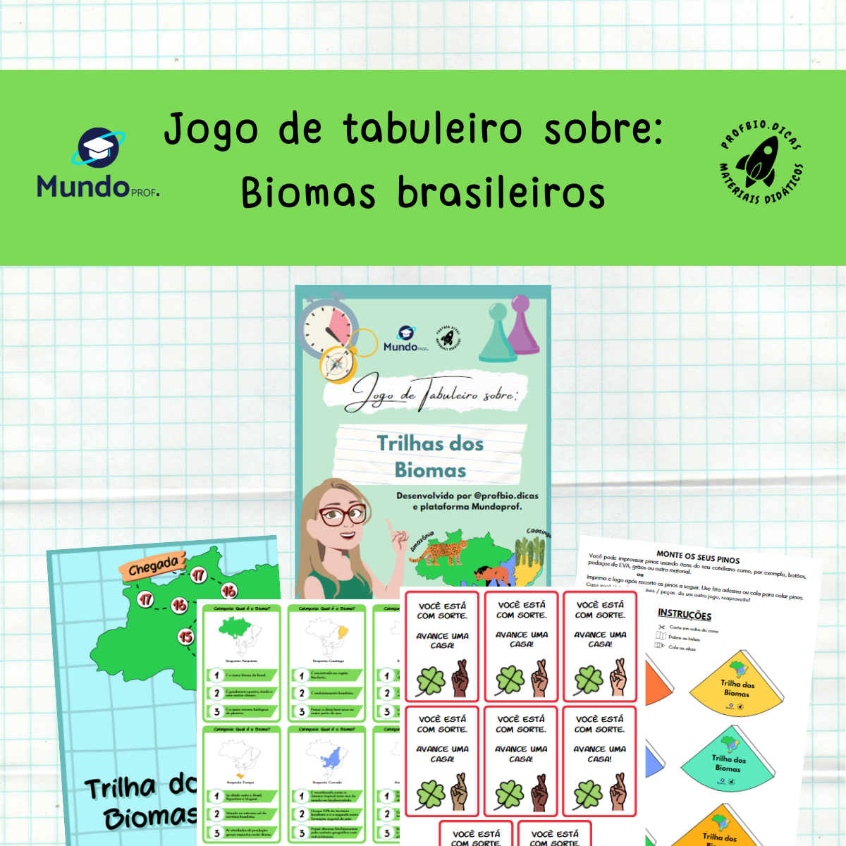 jogo sobre biomas brasileiros de tabuleiro