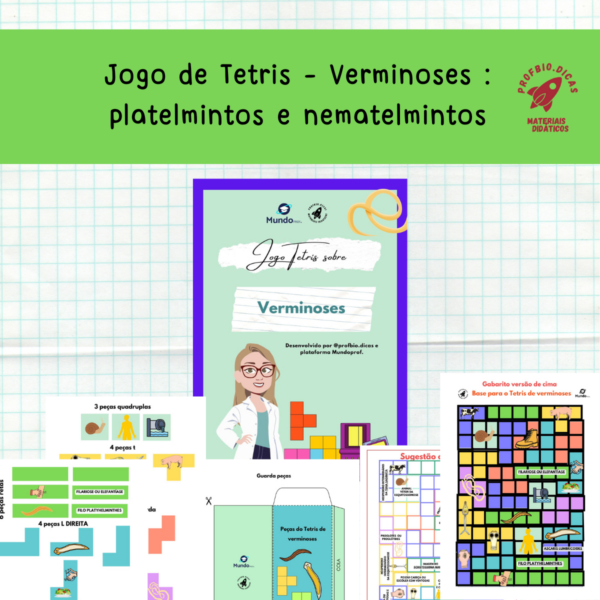 Jogo de Tetris – Verminoses : platelmintos e nematelmintos (vermes, doenças, doença, saneamento básico )