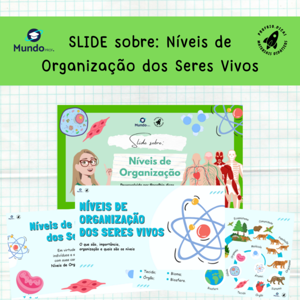 SLIDE sobre: Níveis de Organização dos seres vivos, Organização, Hierarquia Biológica.