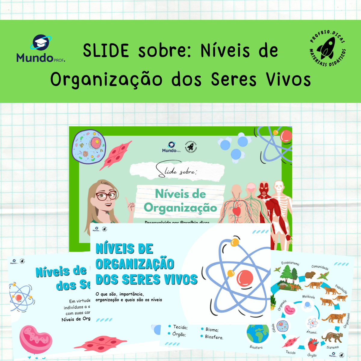 slide niveis de organizacao dos seres vivos