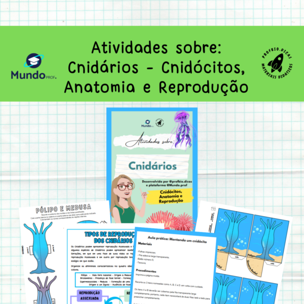 Cnidários :  Animal, animais, invertebrados, Cnidócitos, Anatomia e Reprodução, Aula Prática, Simetria Radial.